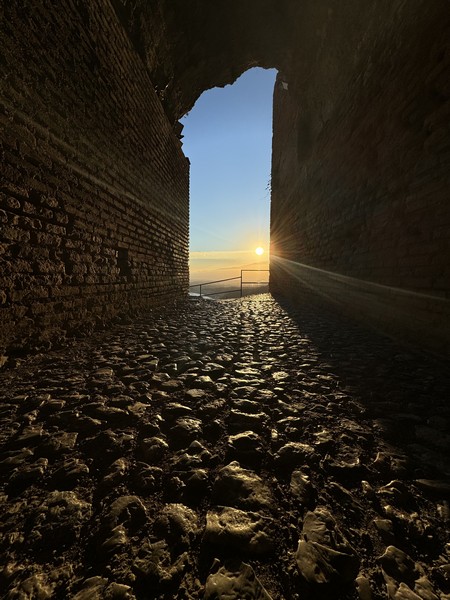 Poesia, arte attuale